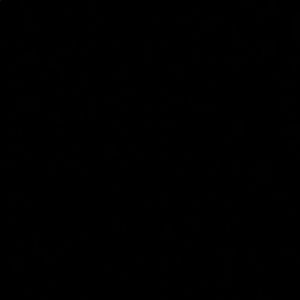 Meet your Posher, Erik